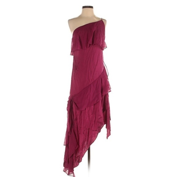 NWOT Haute Hippie one shoulder ruffle dress